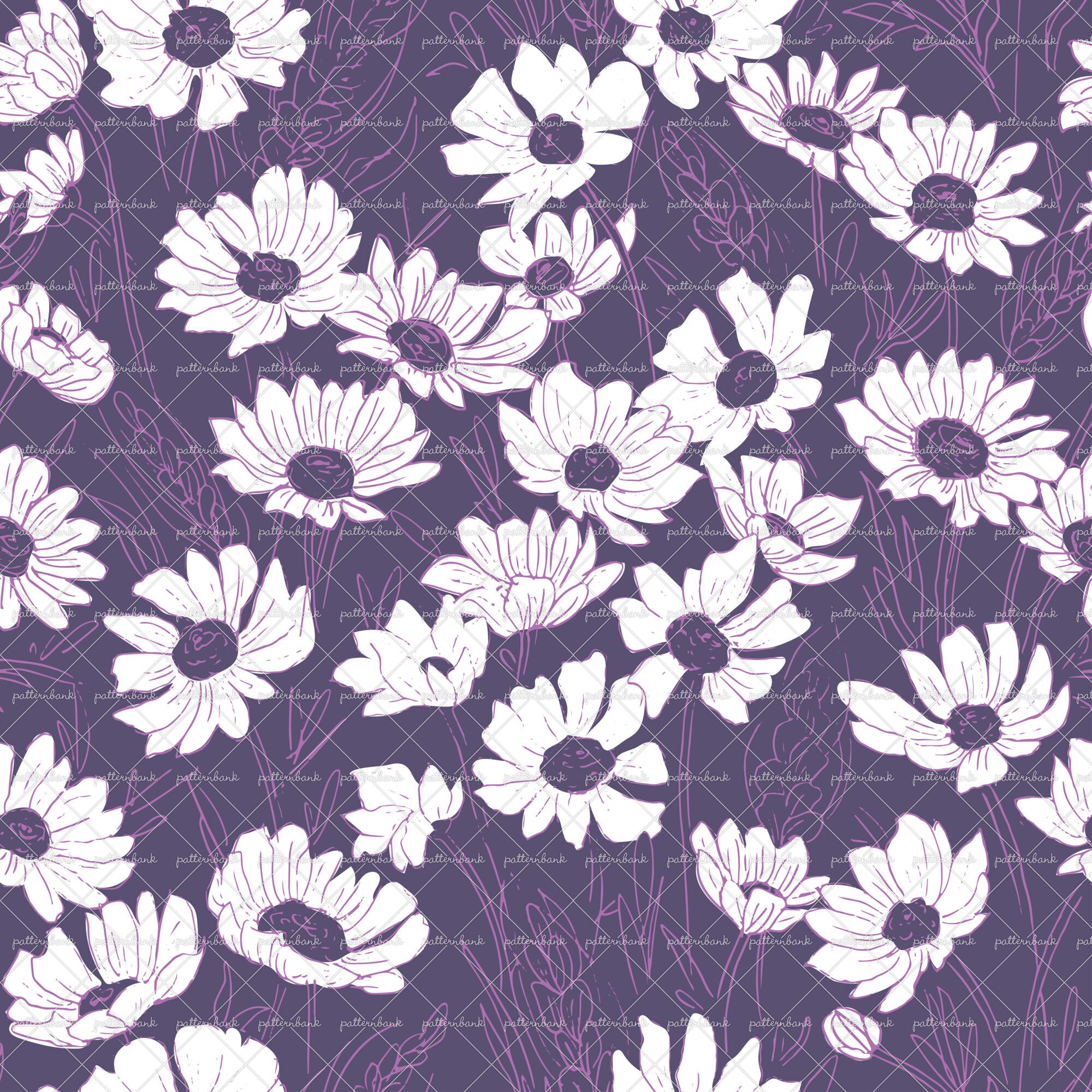 Sketched Daisies 3 Colours Vectorial Patter