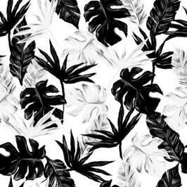 Black and White Leaves