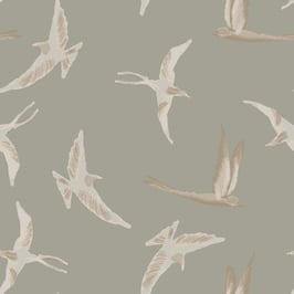 Neutral Tone Swallows Birds