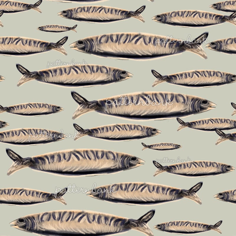 Fresh Sardine Fish Motifs Sea