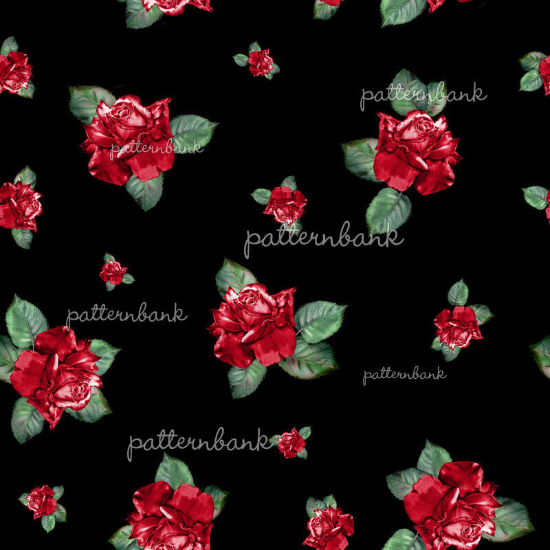 Red Roses Botanical Illustration 1197